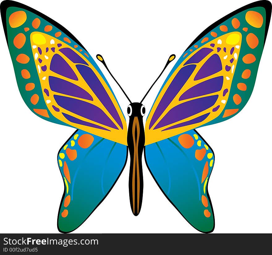 Vector Butterfly