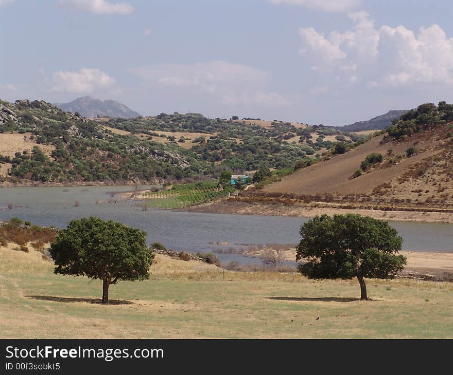 Beautiful Liscia Lake in Sardinia with mediterranean trees