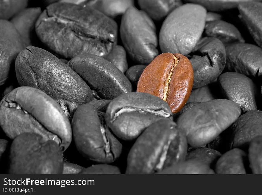 Espressobeans close-up. Colorkey = One bean brown, the others are black-white. Great as background or wallpaper!. Espressobeans close-up. Colorkey = One bean brown, the others are black-white. Great as background or wallpaper!