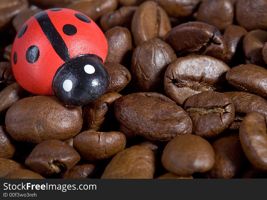 Close-up of good smelling coffeebeans with a wooden ladybug. Great as postcard?. Close-up of good smelling coffeebeans with a wooden ladybug. Great as postcard?