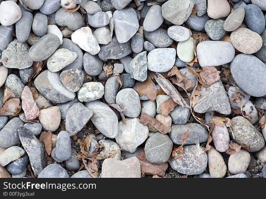 Stones with rotten leaves.