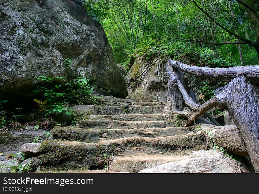 Man-made staircase leading into a forest. Man-made staircase leading into a forest