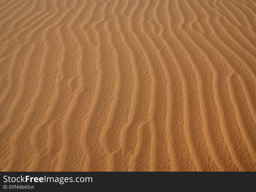 Sand ripples in the california desert