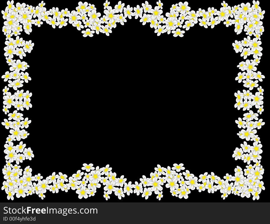 Frame from white flowers of camomiles on a black background