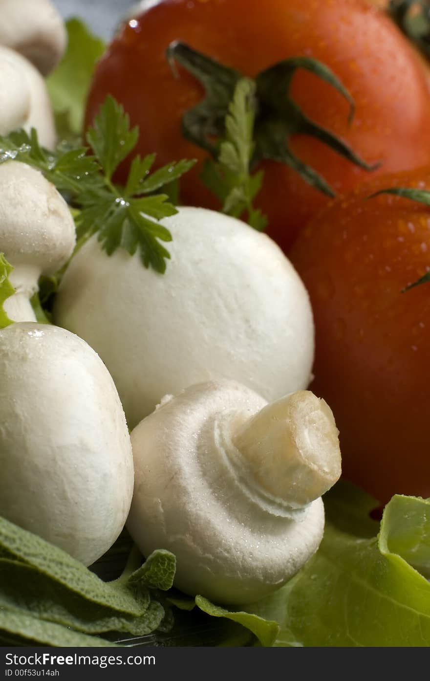 Fresh mushroom close up with tomato in background. Fresh mushroom close up with tomato in background