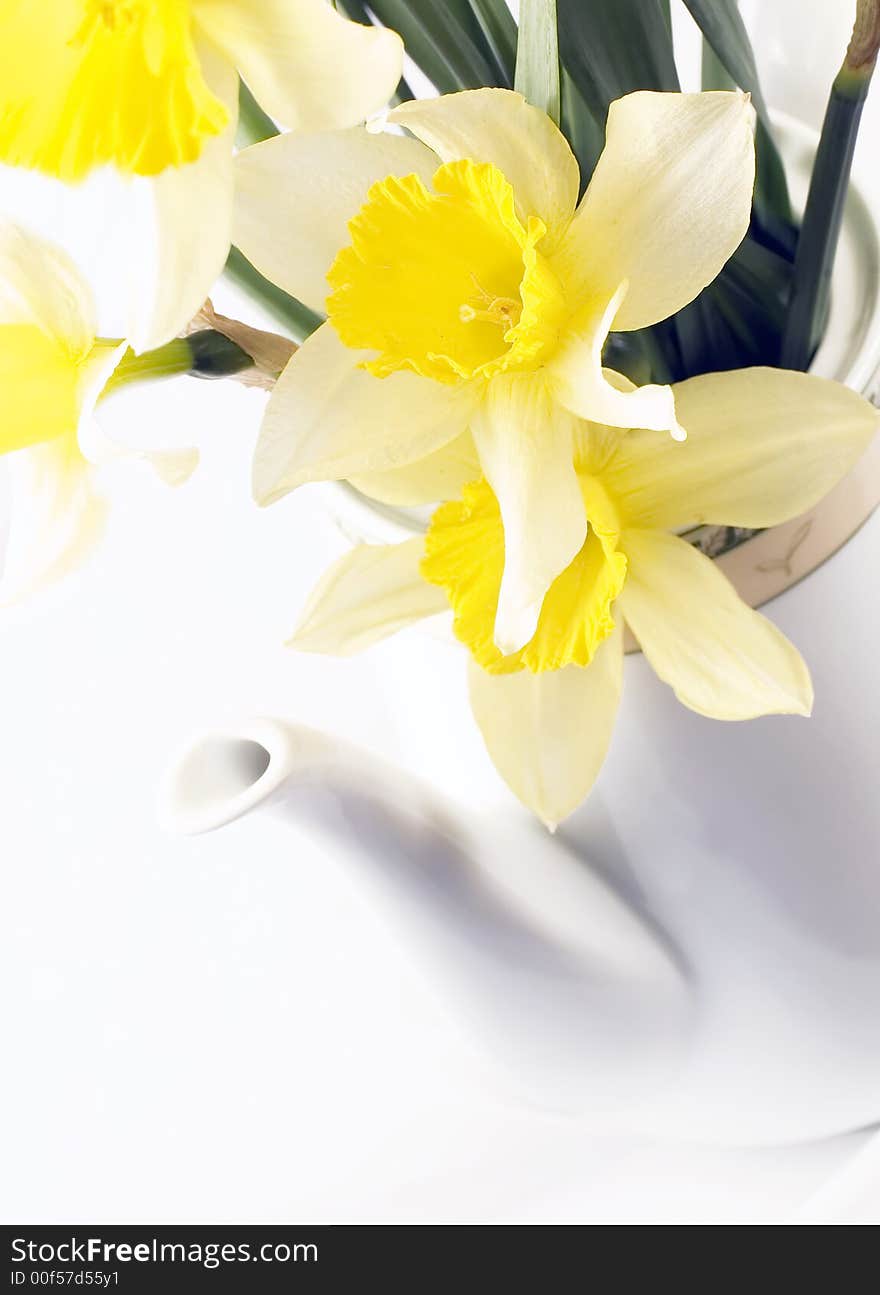 Closeup on tea pot with daffodils early in the morning in bright light on white. Closeup on tea pot with daffodils early in the morning in bright light on white