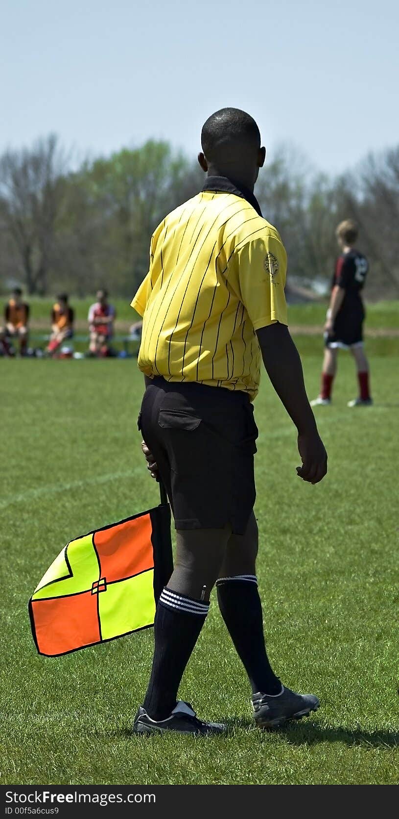 Soccer Linesman With Flag