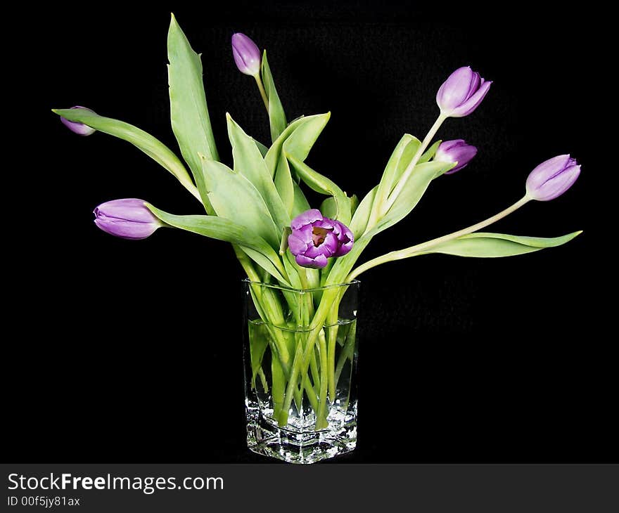 Tulips in Crystal