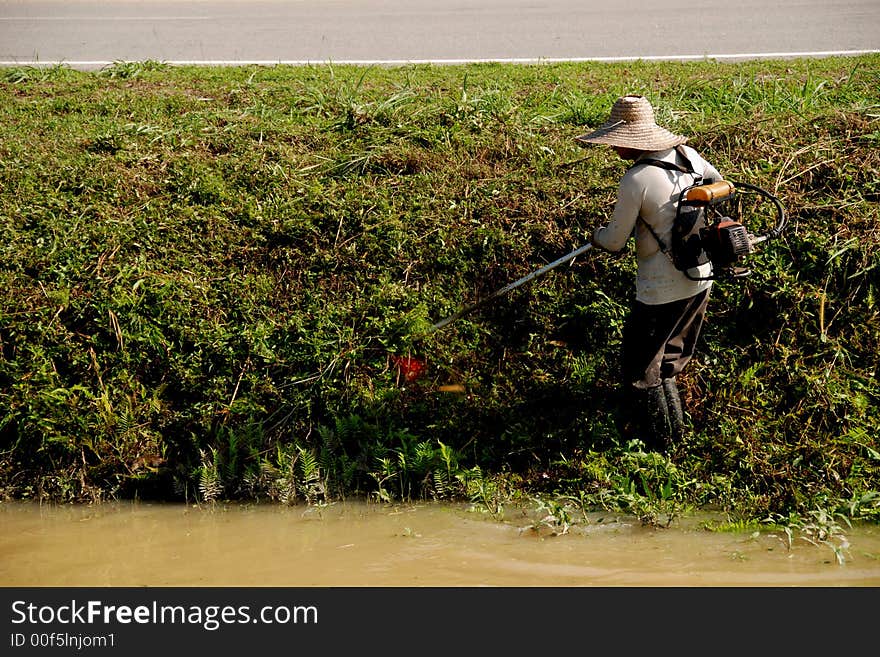 Grass cutting