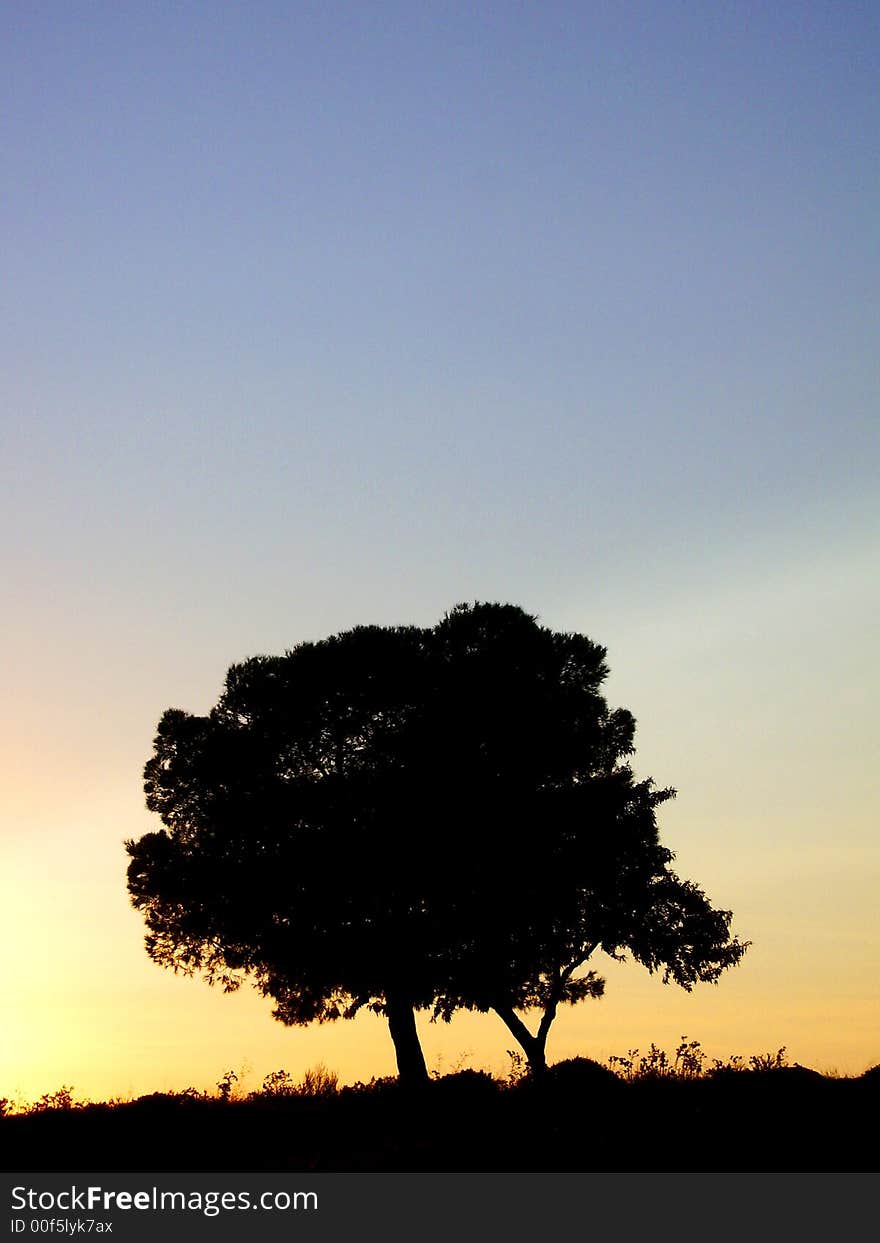 Three in backlight for sunset