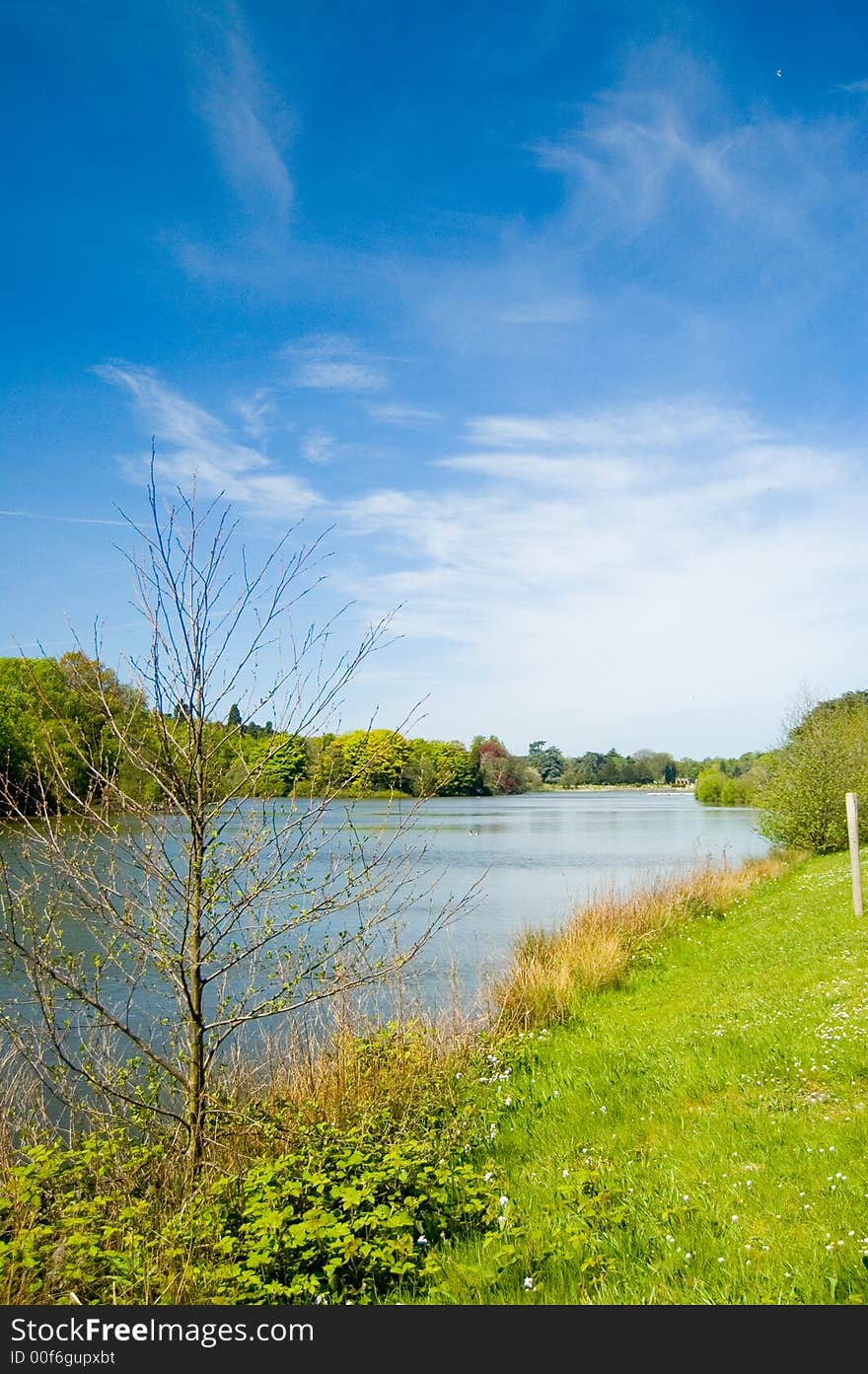 Spring At Trentham Lake