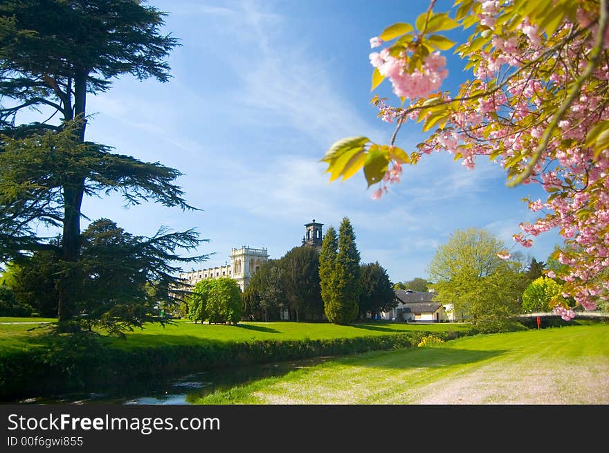 The blossom springs to life
at trentham,
near stoke-on-trent,
staffordshire,
united kingdom. The blossom springs to life
at trentham,
near stoke-on-trent,
staffordshire,
united kingdom.