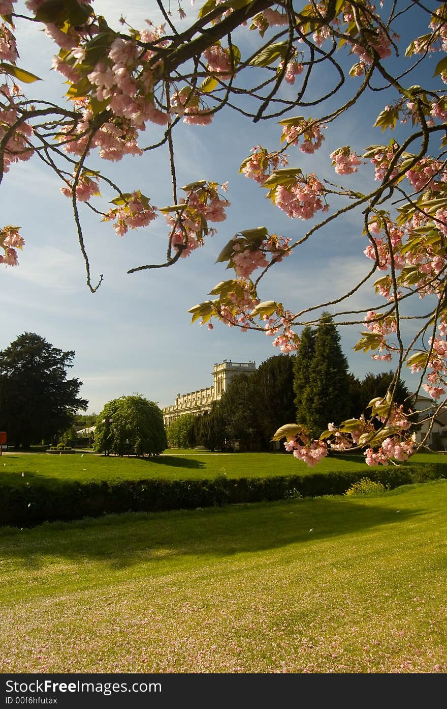 A spring landscape at trentham, near stoke-on-trent, staffordshire, united kingdom. A spring landscape at trentham, near stoke-on-trent, staffordshire, united kingdom.