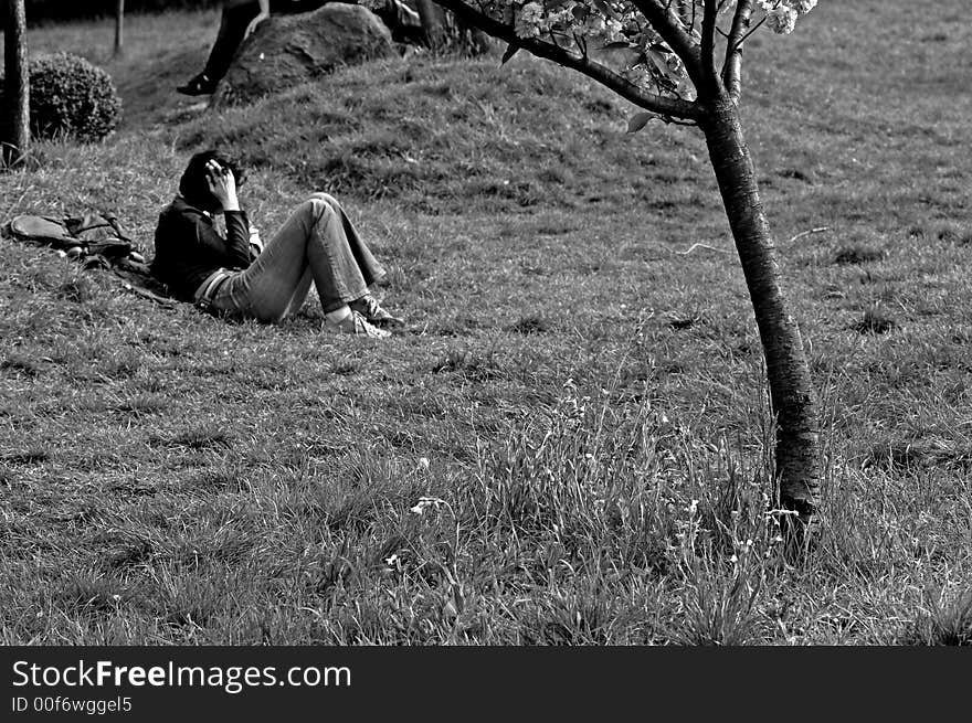 Image of a girl reading in the park. Image of a girl reading in the park