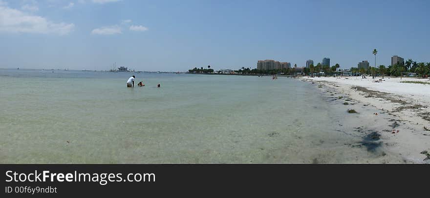 This is a panoramic of the beach and palms