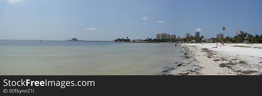 This is a panoramic of the beach and palms