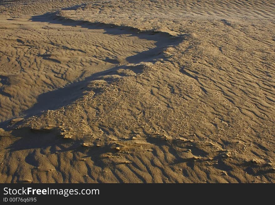 Crafted Sand Dunes