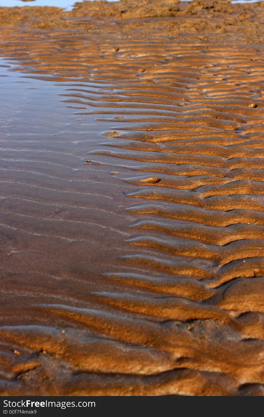 Sea sand coast after outflow. Sea sand coast after outflow