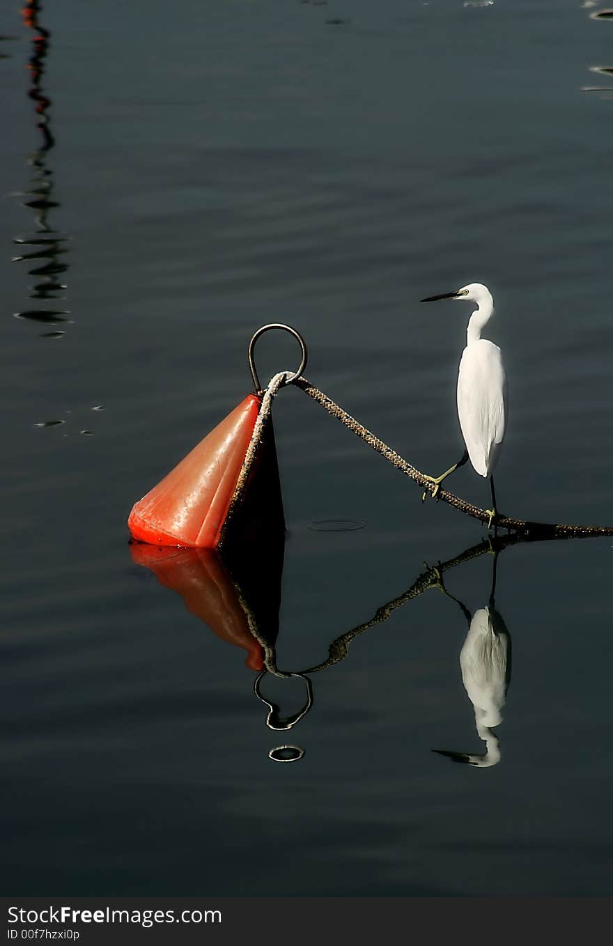 Picture taken in old port of Jaffa, Israel. Picture taken in old port of Jaffa, Israel.