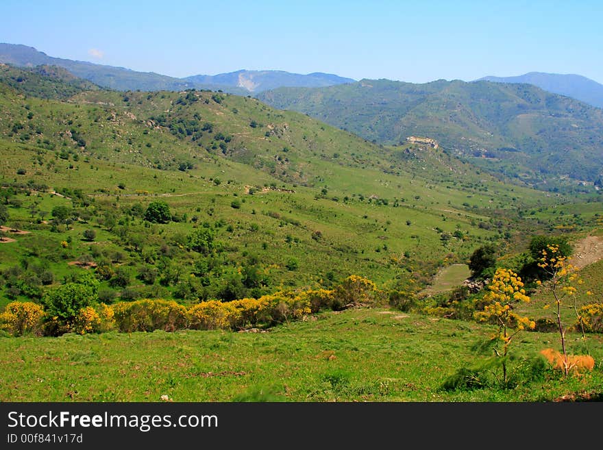 Green Landscape