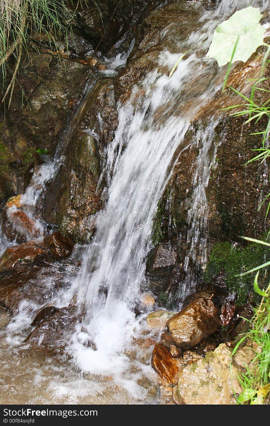 Water flowing between rocks and flowers in summer. Water flowing between rocks and flowers in summer