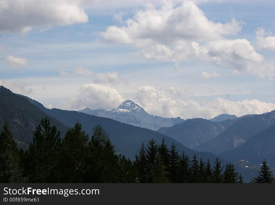 Photo of a forest on a mountain. Photo of a forest on a mountain.