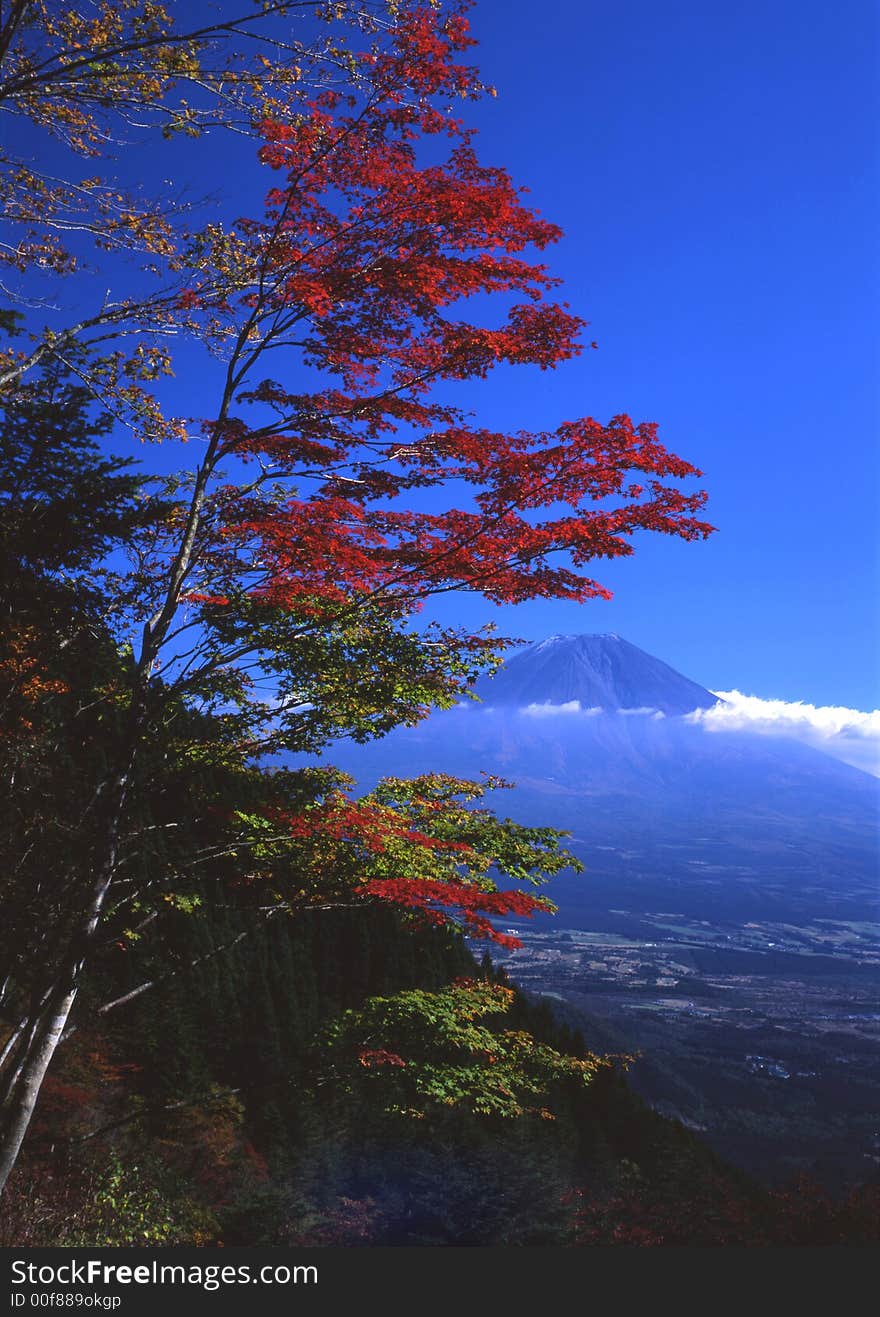 Beautiful Fall colors overlooking Mount Fuji. Beautiful Fall colors overlooking Mount Fuji