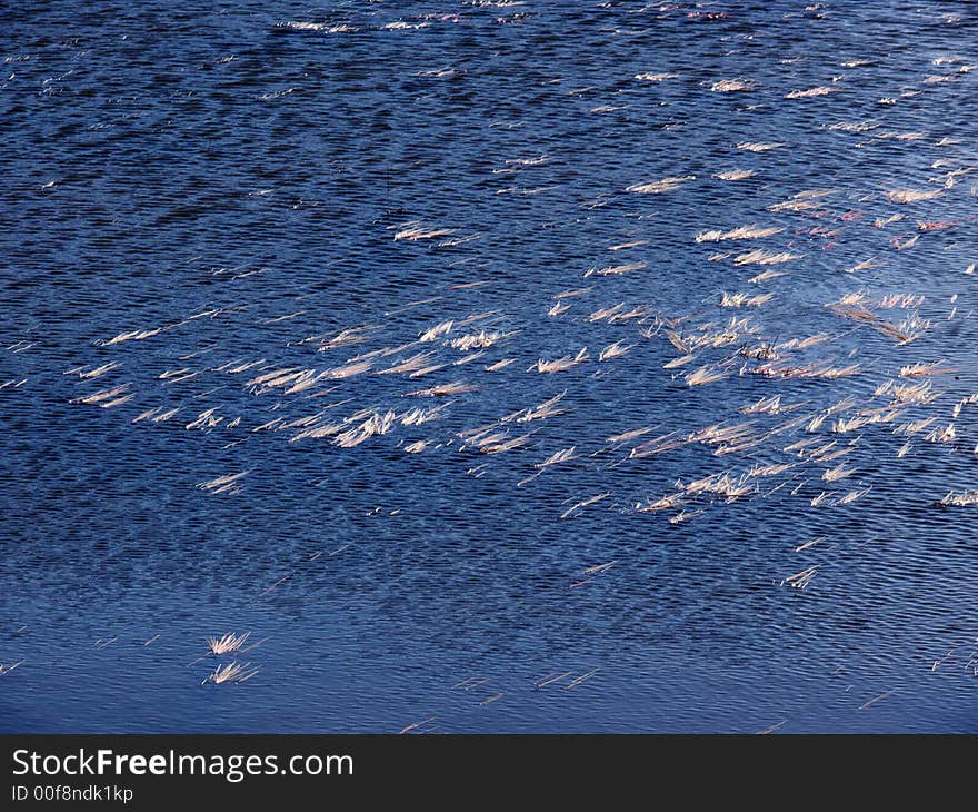 Water texture, pattern, background, dark blue ripples