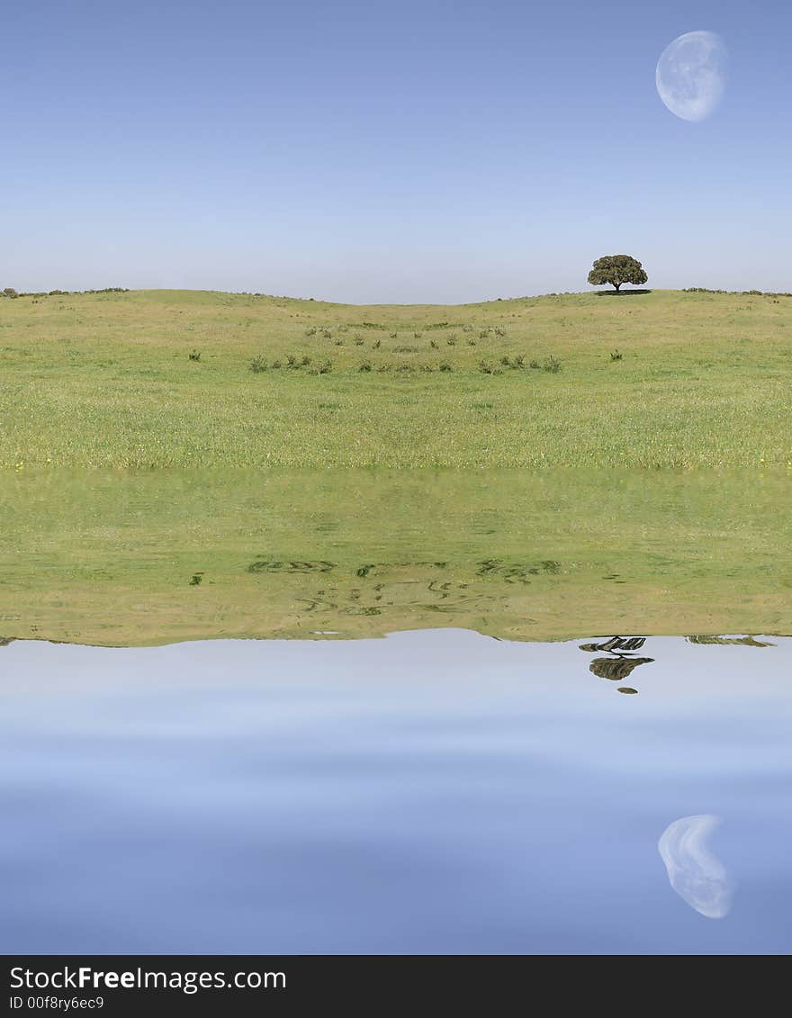 Field landscape with moon reflex on the water