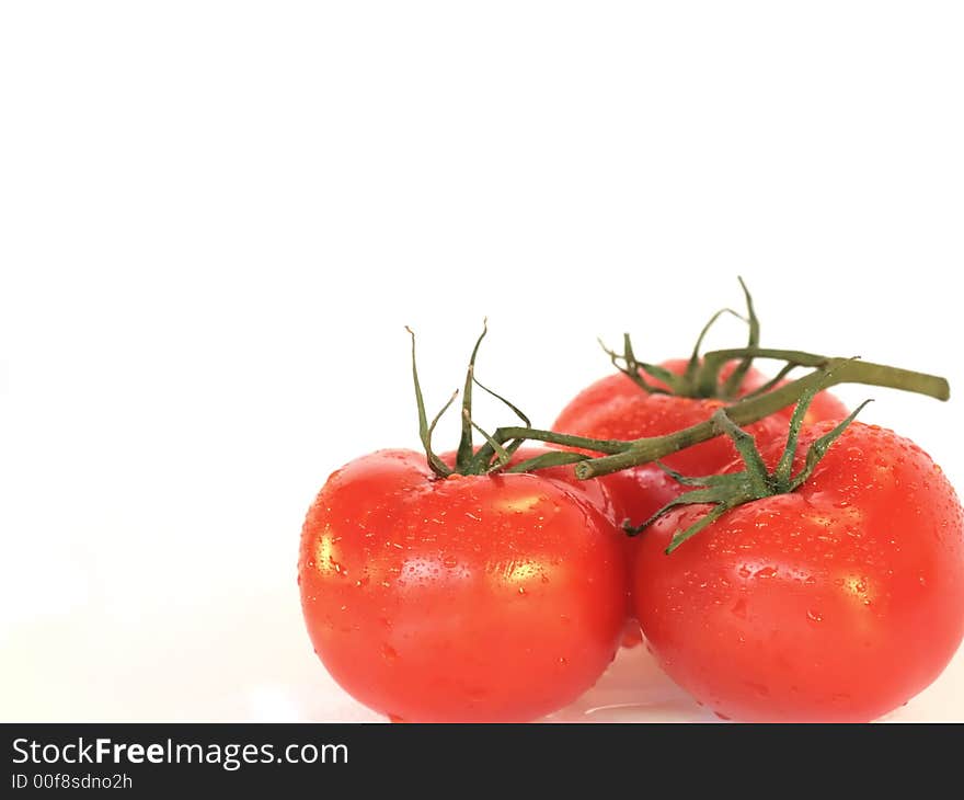 Tomatos isolated on white background