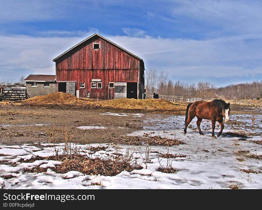 Taken on an early spring day with snow still on the ground. Taken on an early spring day with snow still on the ground.