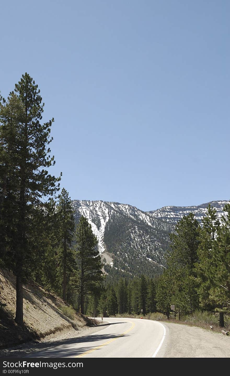 Mount charleston in the usa. Mount charleston in the usa