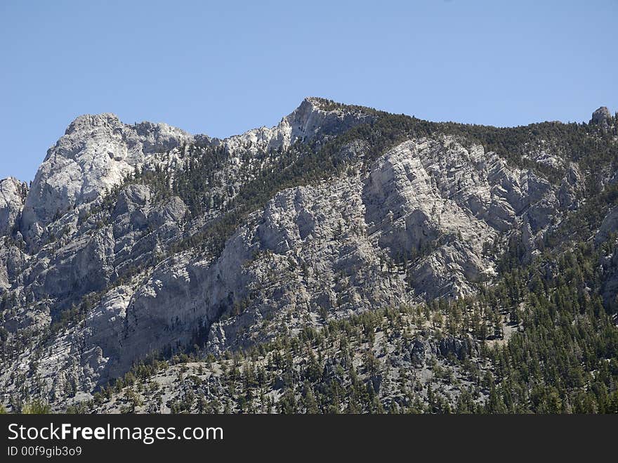 Mount charleston in the usa. Mount charleston in the usa