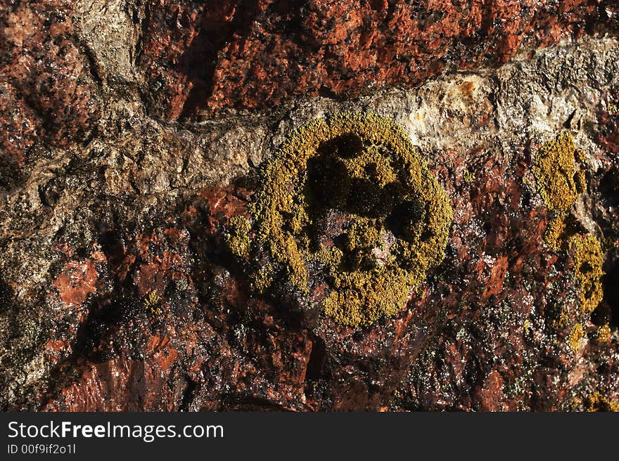 Mushroom circle