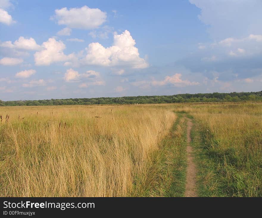 Field, clouds, green, grass, meadow, sky, nature, Russia