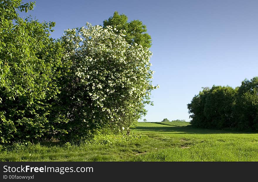 Beautiful landscape. Picture taken at countryside in Poland. Beautiful landscape. Picture taken at countryside in Poland