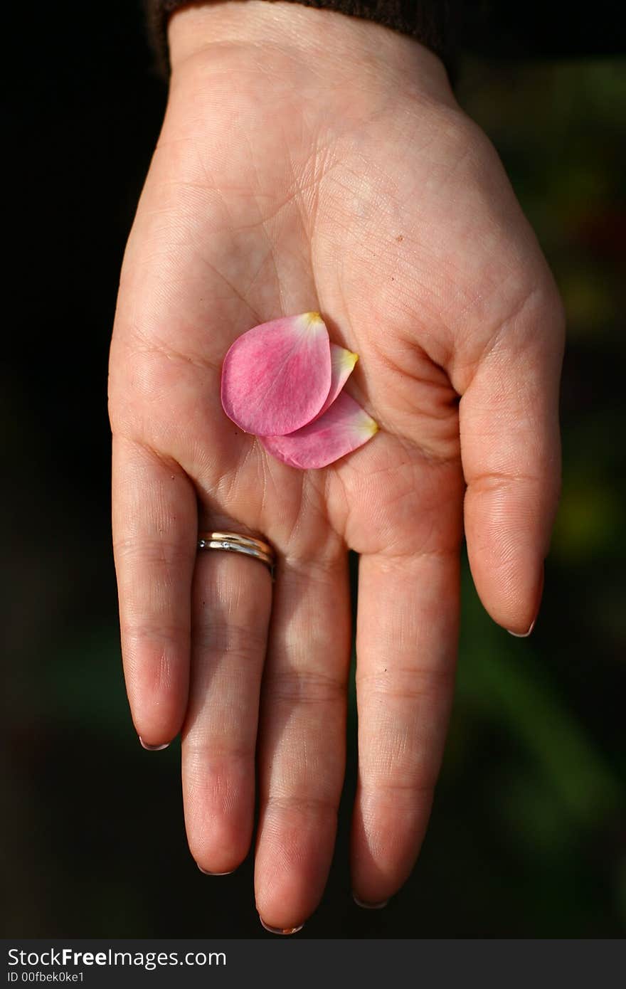 Woman hand with petals