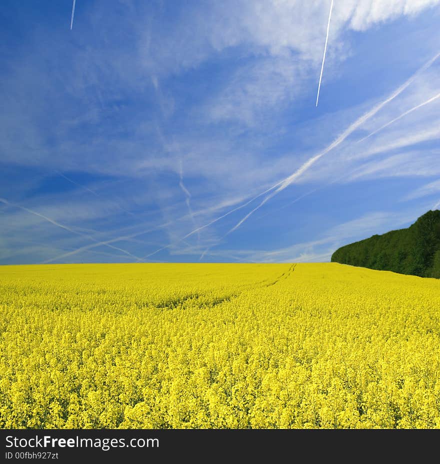 With Blue Sky And Clouds.