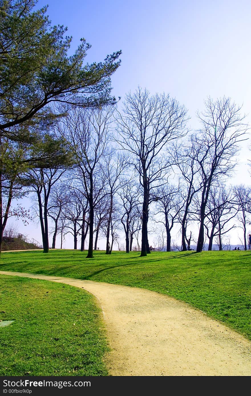 Footpath through the park.