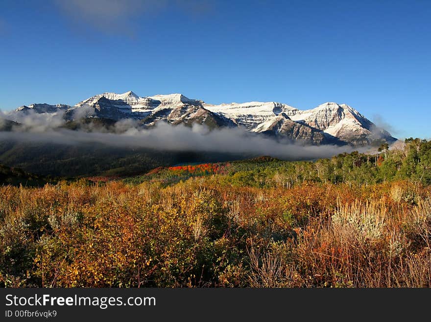 High Mountain view with  brush forground and mist. High Mountain view with  brush forground and mist