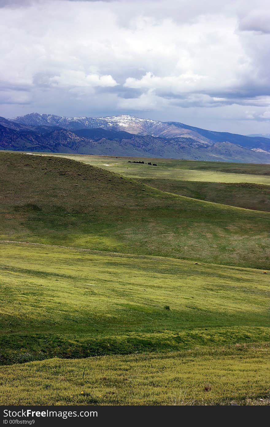 Rocky Mountain National Park and green meadows. Rocky Mountain National Park and green meadows