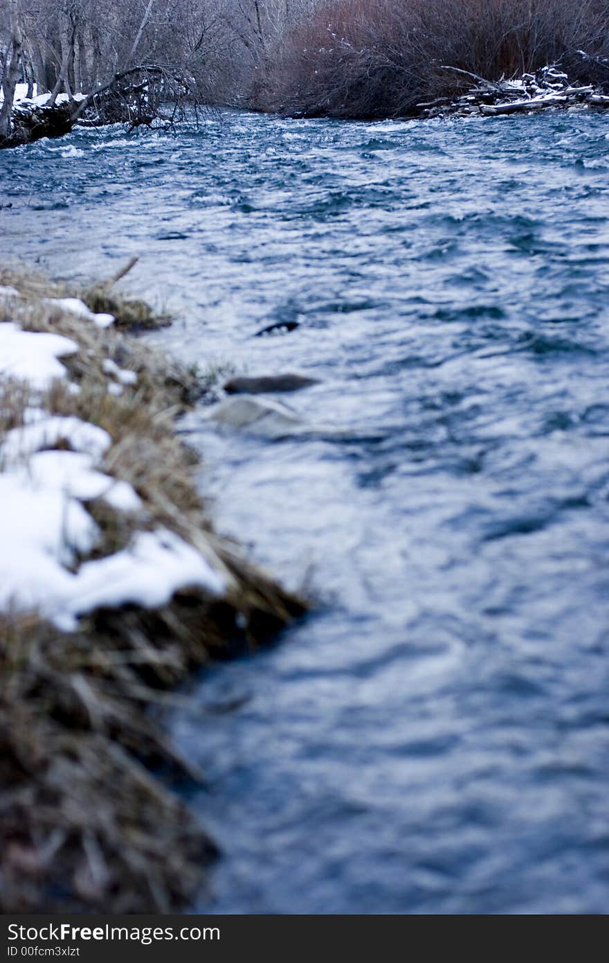 Water running through the creek in the winter with trees in the background. Water running through the creek in the winter with trees in the background