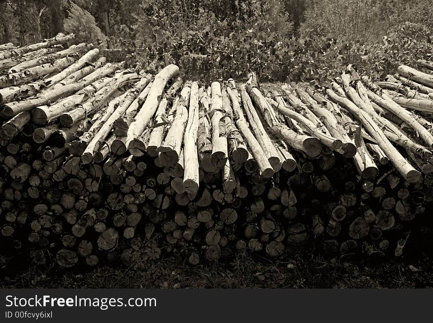 A pile of firewood in black white photo