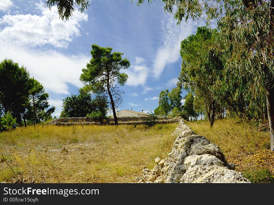 Beutiful county is a characteristic landscape in the sicilian hinterland. Beutiful county is a characteristic landscape in the sicilian hinterland