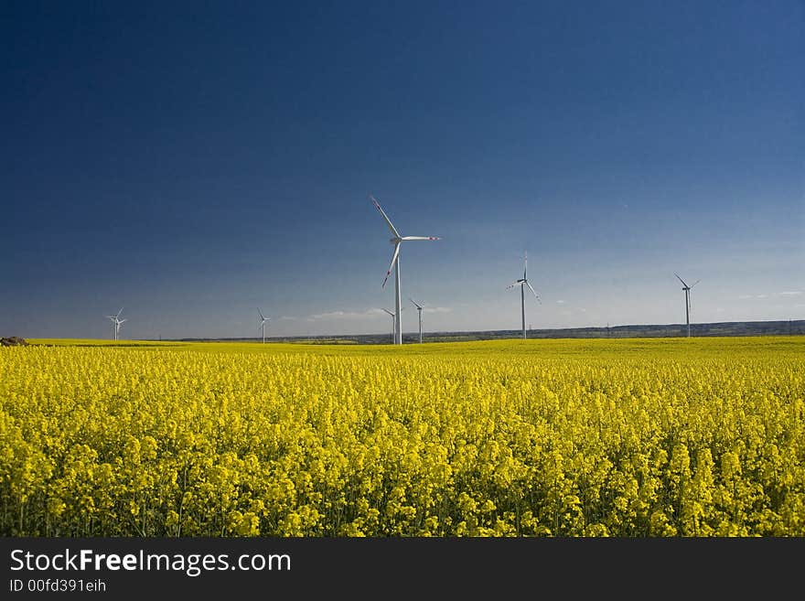 Landscape yellow and blue sky. Landscape yellow and blue sky