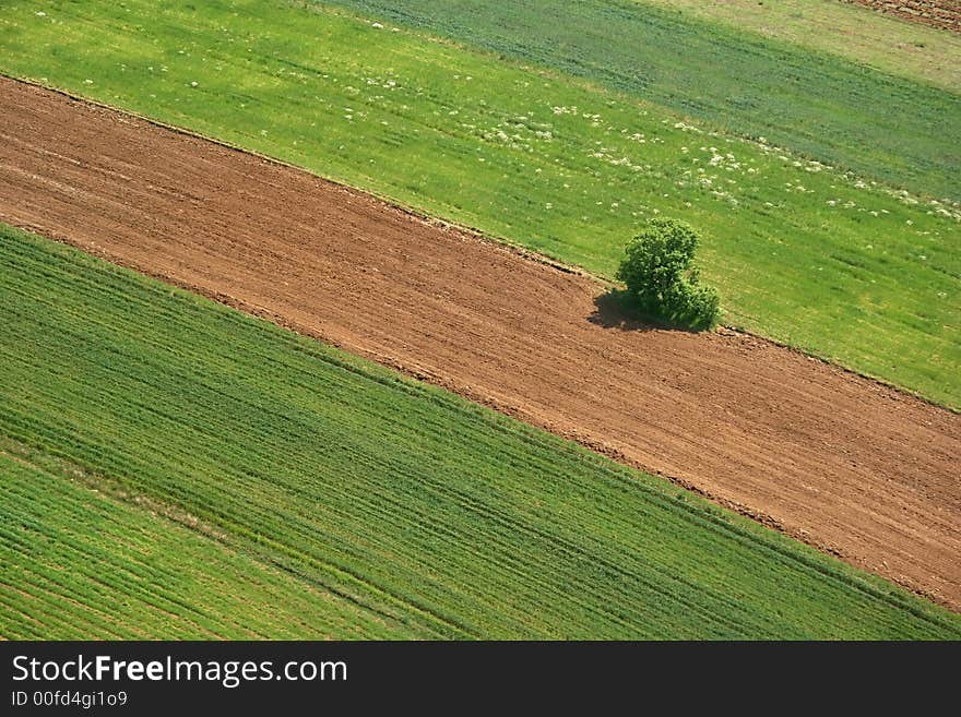 Areal view of a cultivation in Macedonia from a helicopter