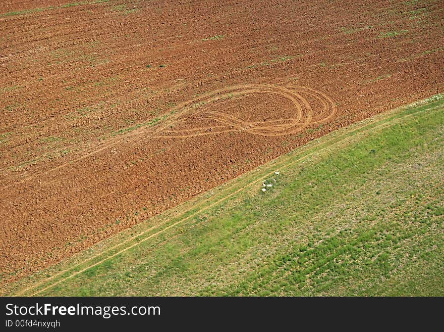 Areal view of a cultivation in Macedonia from a helicopter