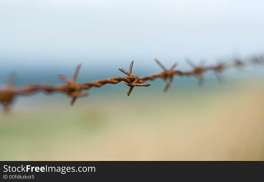 Barb wire, close up, rust, blu