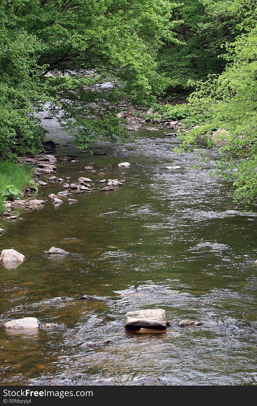 River in mountain