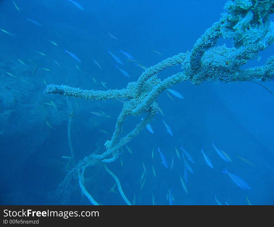 Underwater Rope